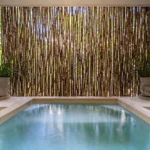 Casa Cenote Private Pool Gated Tulum